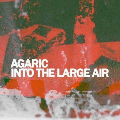 Agaric - Into The Large Air (2014)