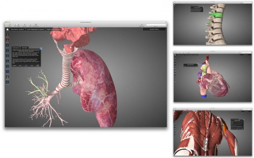 Essential Anatomy v3.0 (Mac OSX) by vandit