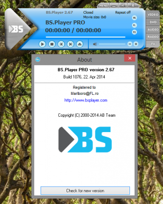BS Player Pro 2.67.1076 Final Multilang Incl. Keymaker - CORE
