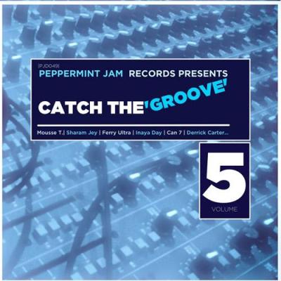 VA - Peppemint Jam Records Pres Catch the Groove Vol. 5 (2014)