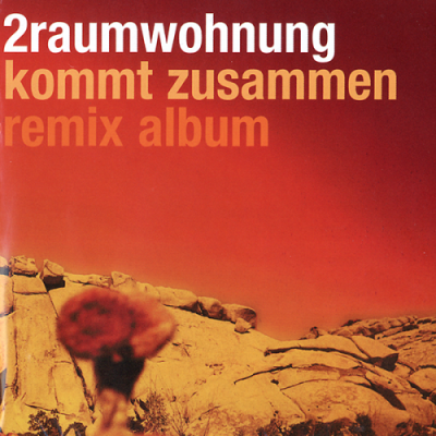 2Raumwohnung -  Kommt Zusammen Remix Album (2002)