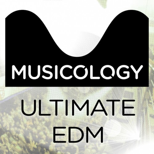 MusicologyOnline Ultimate EDM WAV MiDi MAGNETRiXX by vandit