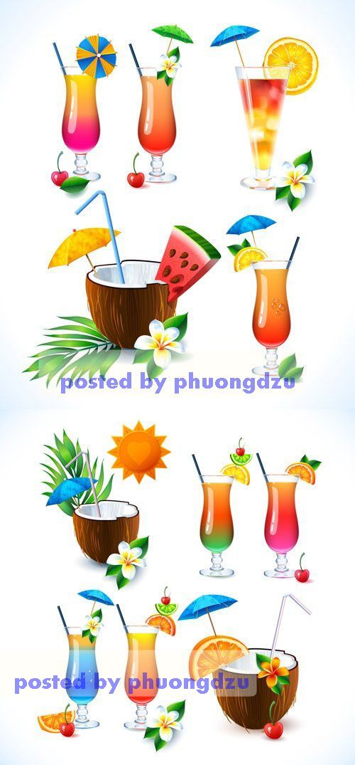 Tropical Cocktails Vector 3