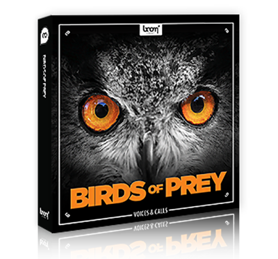 Boom Library Birds of Prey WAV-/AUDIOSTRiKE