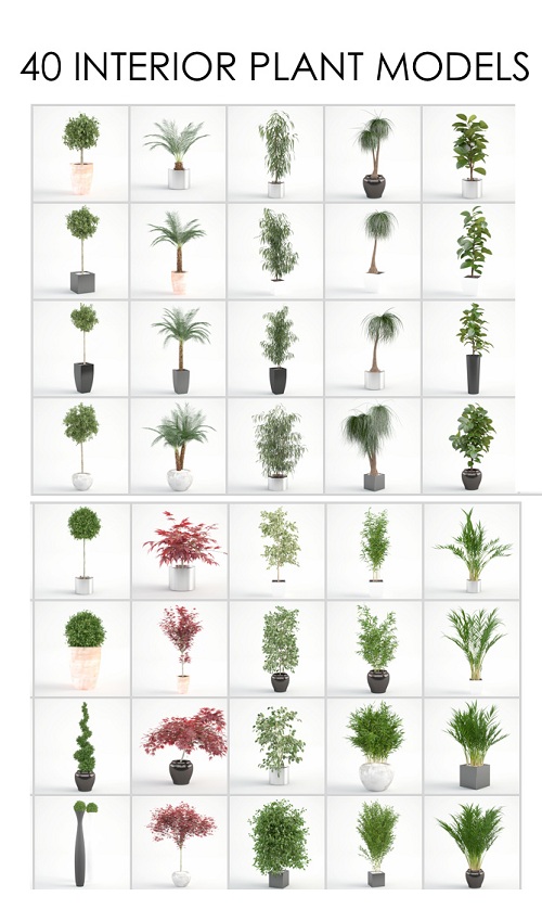 VIZPARK: Interior Plants for 3ds max