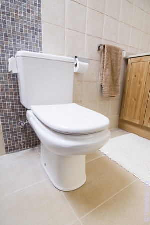 «Светлый кафель в отделке туалета способствует зрительному расширению пространства»