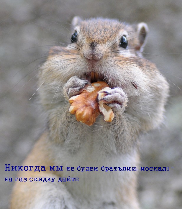 http://i64.fastpic.ru/big/2014/0624/bc/bf7b937589561e177288946971565bbc.jpg