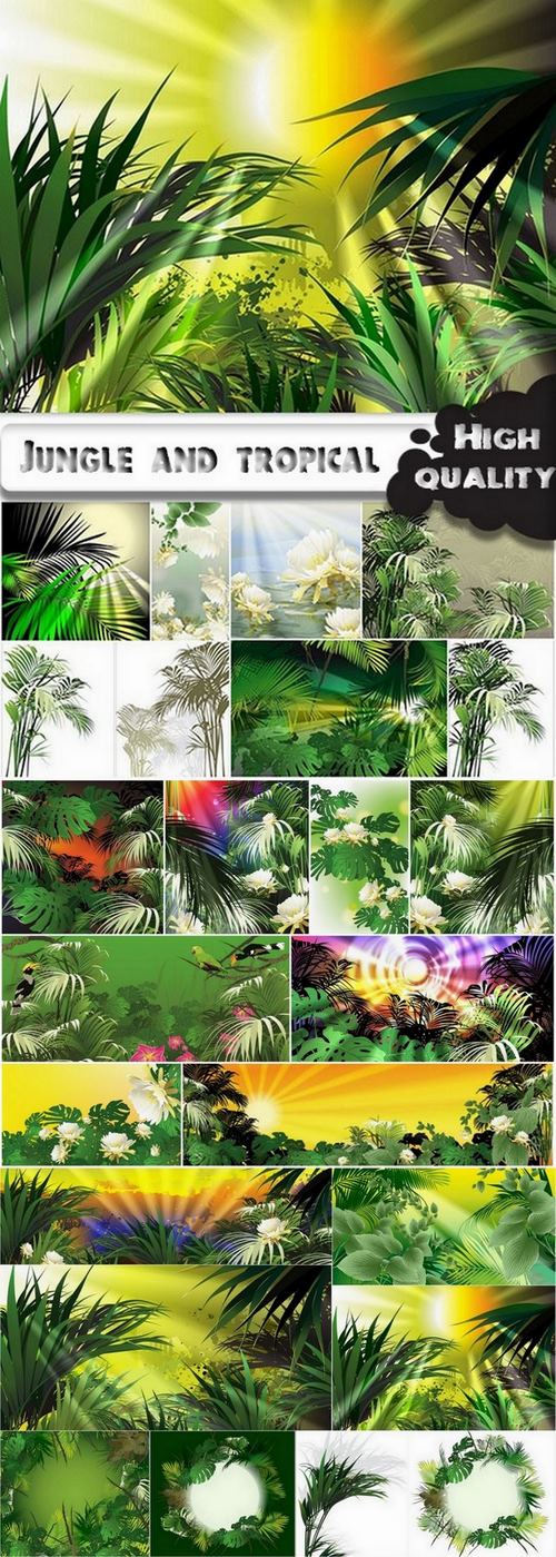 Jungle and tropical illustration in vector from stock - 25 Eps