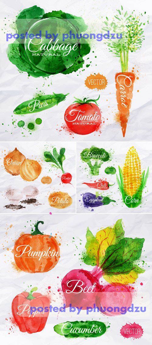 Watercolor Vegetables Vector 4