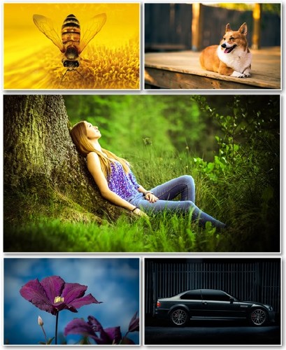 Best HD Wallpapers Pack 1354