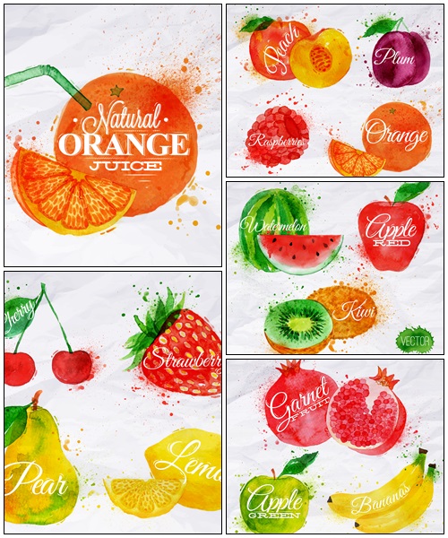 Fruit watercolor peach, raspberry, plum, orange - vector stock