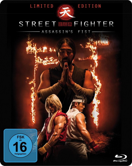  :   / Street Fighter - Assassin's Fist (2014) HDRip | BDRip 720p