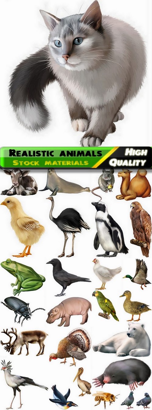 Different realistic animals in vector from stock #2 - 25 Eps