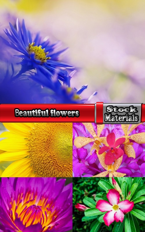 Collection of beautiful flowers #2-5 UHQ Jpeg