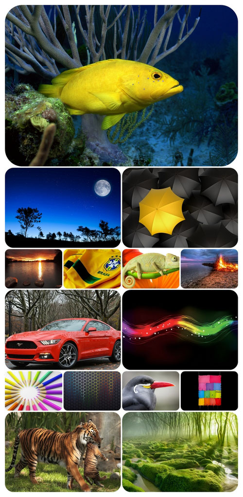 Beautiful Mixed Wallpapers Pack 285
