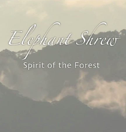     / Elephant Shrew - Spirit of the Forest (2007) WEB-DLRip 720