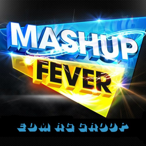 Mash Up Fever (2014)