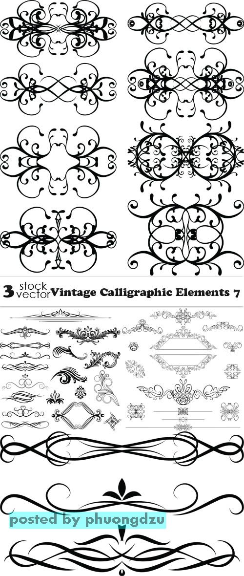 Vectors - Vintage Calligraphic Elements 07