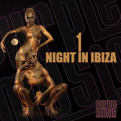 VA - 1 Night In Ibiza (2014)