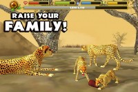 Cheetah Simulator v1.1 APK