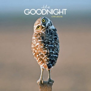 The Goodnight - Back to Life [Single] (2014)