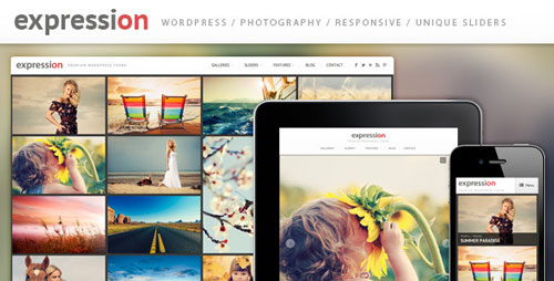 nulled Expression v1.3.1 - Photography Responsive WordPress Theme  