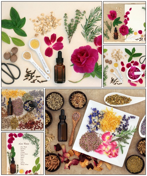 Herbal Medicine - Stock Photo