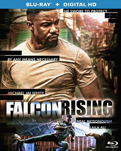 Восхождение Сокола / Falcon Rising (2014) HDRip