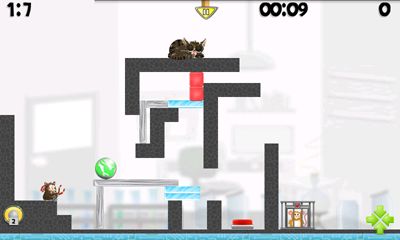 Capturas de tela do jogo Hamster Ataque! no telefone Android, tablet.
