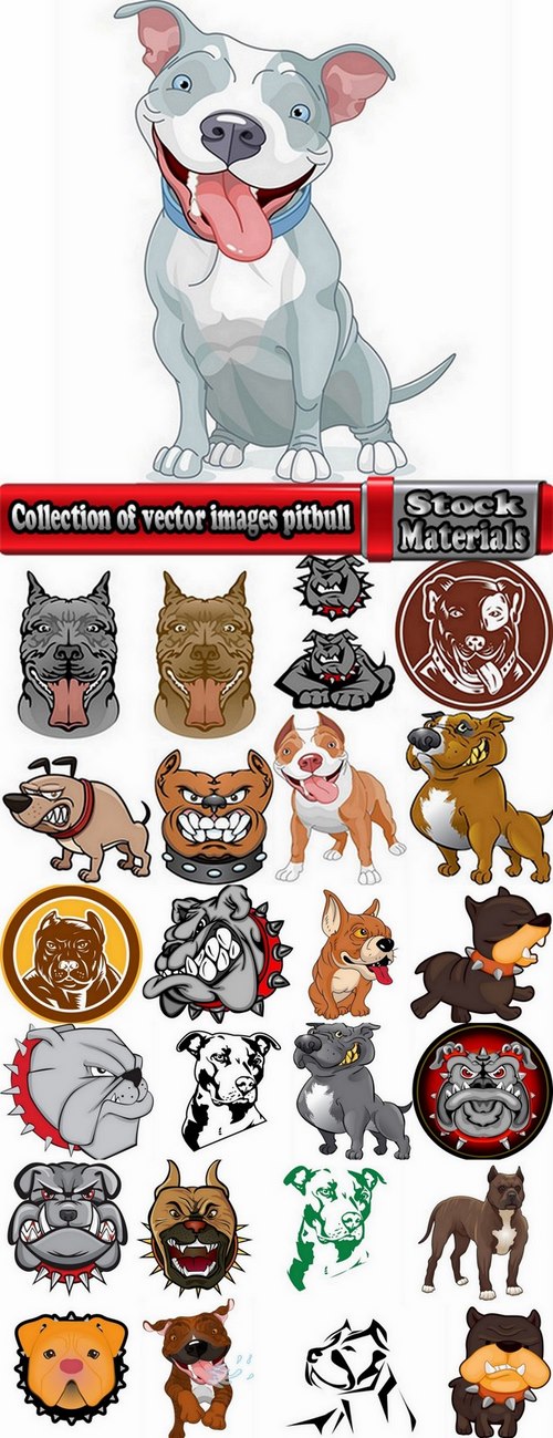 Collection of vector images pitbull 25 Eps