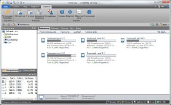 FolderSizes 7.5.24 Enterprise Edition Rus Portable by SamDel