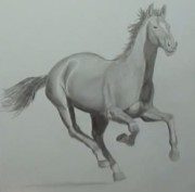  Рисуем лошадь карандашем (2014)