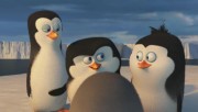 Пингвины Мадагаскара / Penguins of Madagascar (2014) WEBRip/WEBRip 720p/WEBRip 1080p