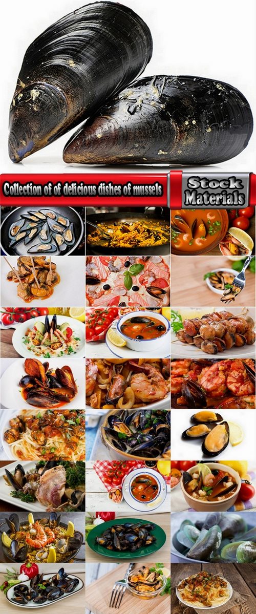 Collection of of delicious dishes of mussels 25 HQ Jpeg