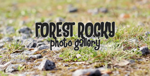 VideoHive - Forest Rocky Photo Gallery