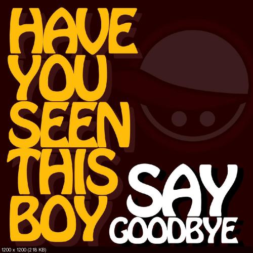 Have You Seen This Boy - Say Goodbye (Single) (2014)