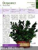 Комнатные и садовые растения от А до Я (№37 / 2014)