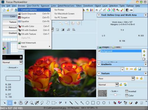 Focus Photoeditor 7.0.3.0 + Portable