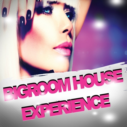 VA - Bigroom House Experience (2014)