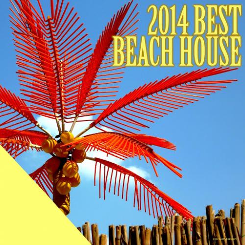 VA - 2014 Best Beach House (2014)