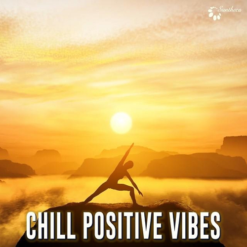 Chill Positive Vibes (2014)