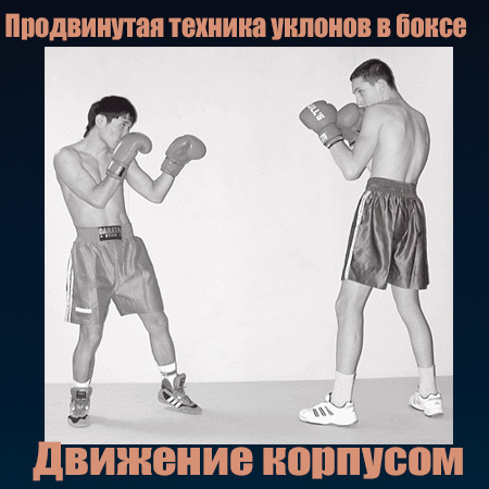 Продвинутая техника уклонов в боксе. Движение корпусом (2014) WebRip