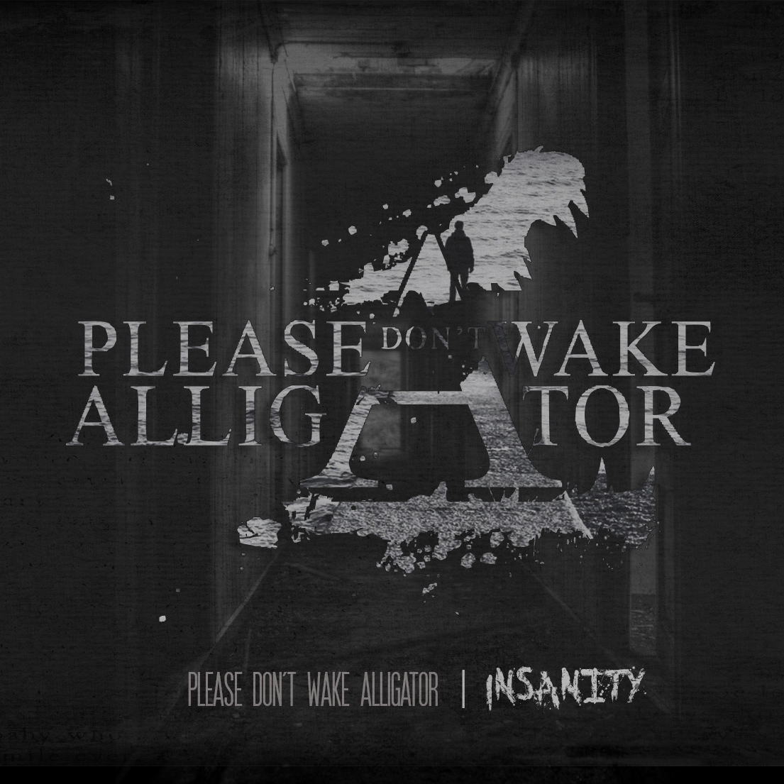Please Don't Wake Alligator - Insanity (2015)